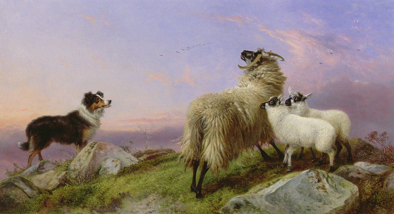Collie, Ooi en Lammeren door Richard Ansdell