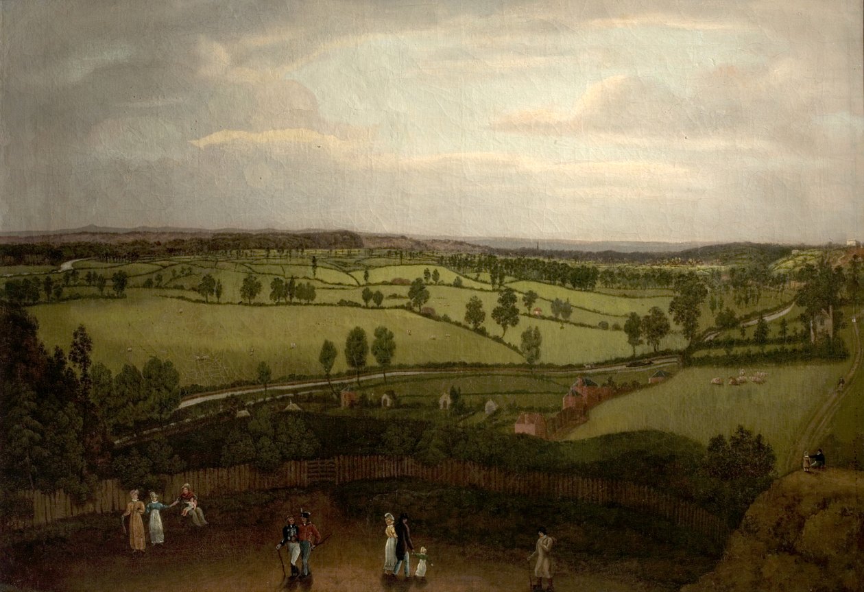 Nottingham Meadows vanaf de rotsklif, waar Lenton Road overgaat in Park Valley door Richard Bonington