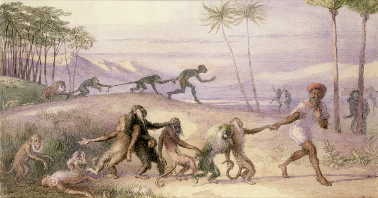 De Manieren en Gewoonten van Apen door Richard Doyle