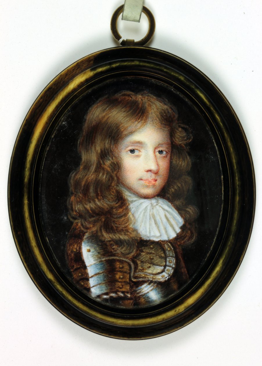 Henry Cavendish, Graaf van Ogle door Richard  Gibson