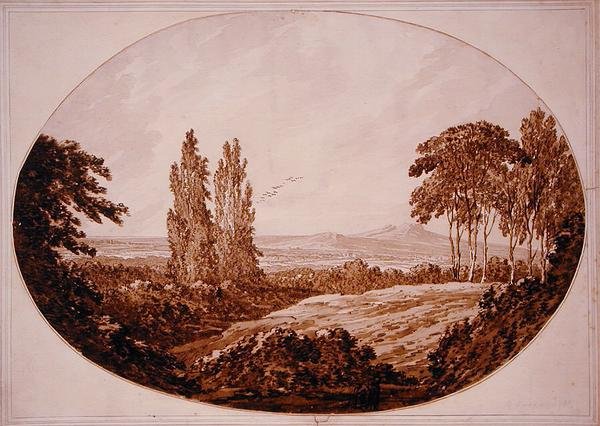 Landschap, bomen en rotsachtige heuvels door Richard Cooper