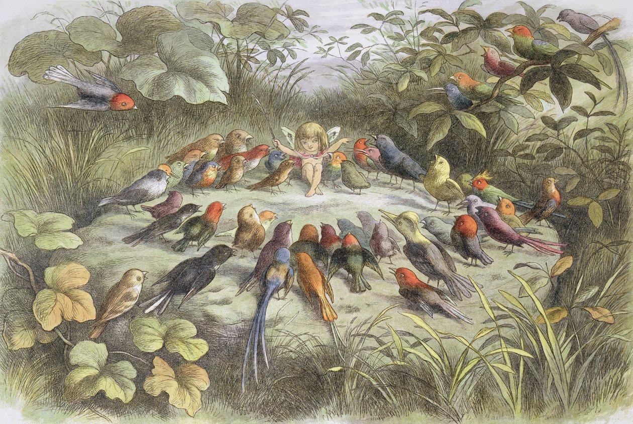 Muziekrepetitie in Feeënland (Illustratie uit "In Feeënland. Beelden uit de Elfen-Wereld", door William Allingham en Andrew Lang door Richard Doyle