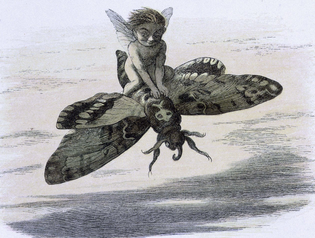 Een elf die op een vlinder rijdt. Illustratie van Richard Doyle uit "In Fairy land. Een serie afbeeldingen uit de elf-wereld" vergezeld van een gedicht van W Allingham. 1869-1870. The British Library Institution Reference: Shelfmark ID: 1876 e18 