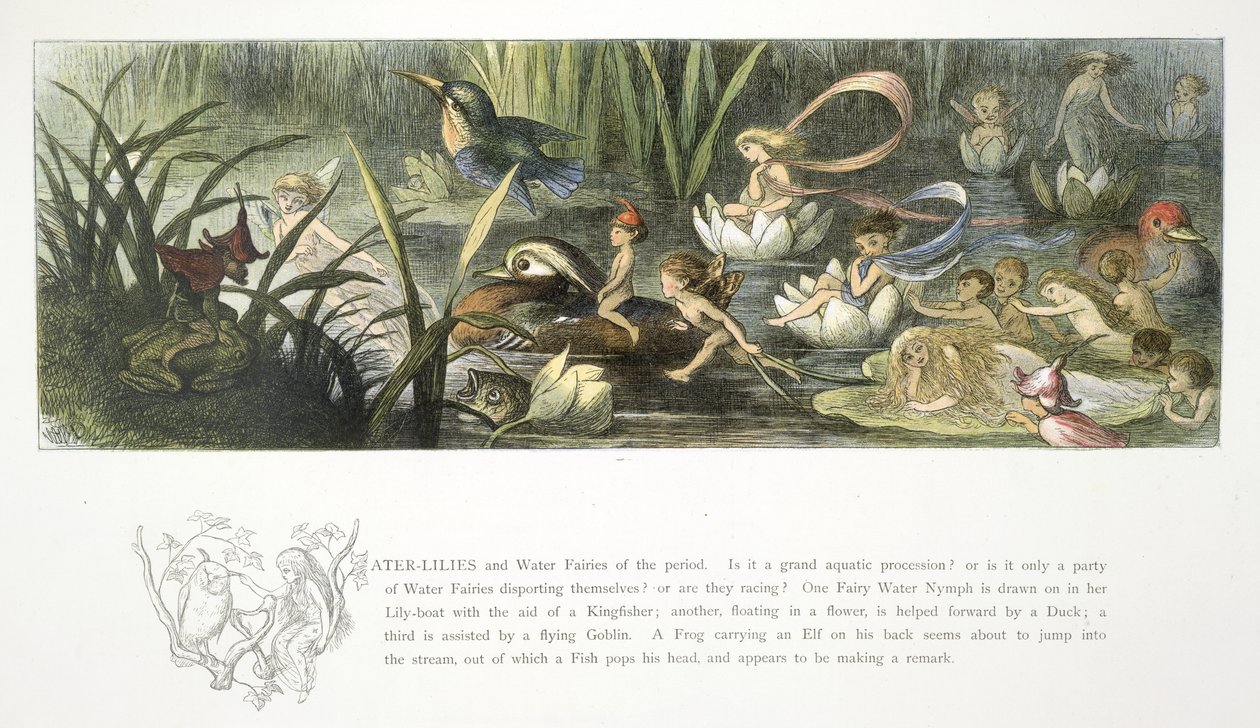 Waterlelies en waterfeeën door Richard Doyle