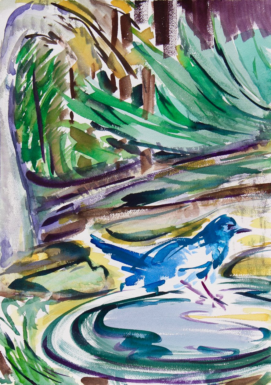 Vogelbad door Richard Fox