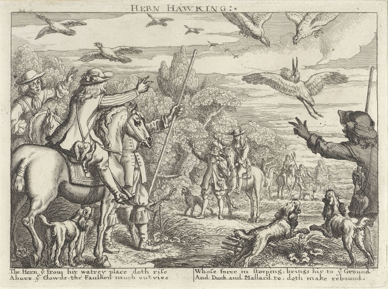 Valkenjacht op reigers en eenden door Richard Gaywood (possibly)