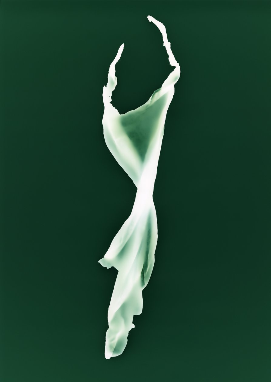 Zonder titel, 2004 door Richard Green