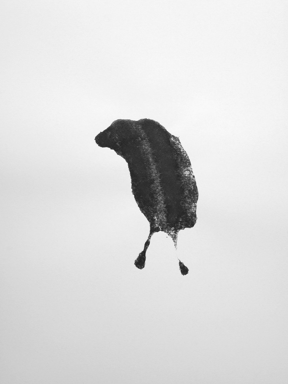 Zonder titel, 2009 (monotype) door Richard Green