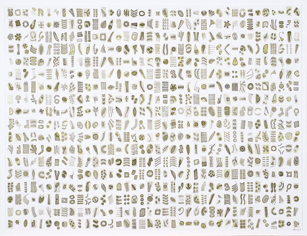 Micrarium No.10 , 2017 (inkt op papier) door Rika Newcombe