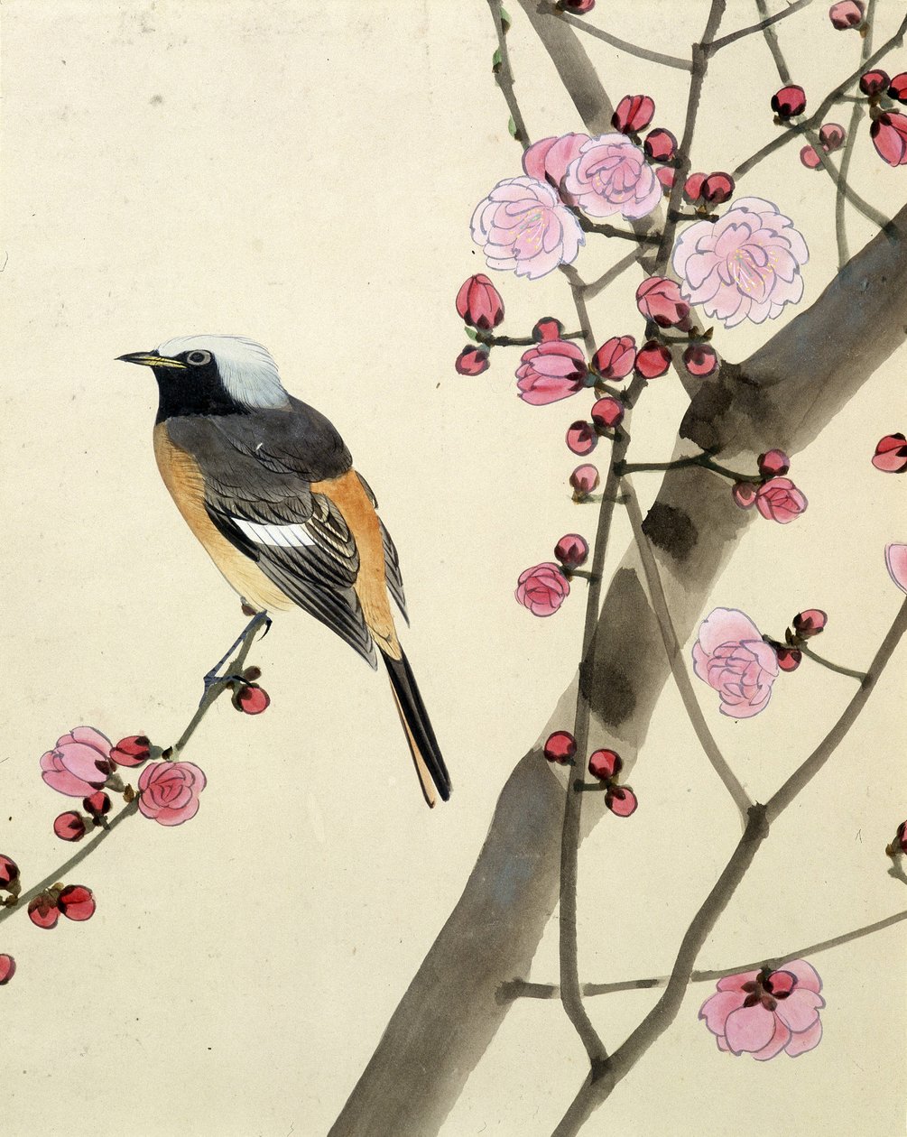 Vogel - Japanse tekening door Riou Chim, eind 19e eeuw door Riu Chim
