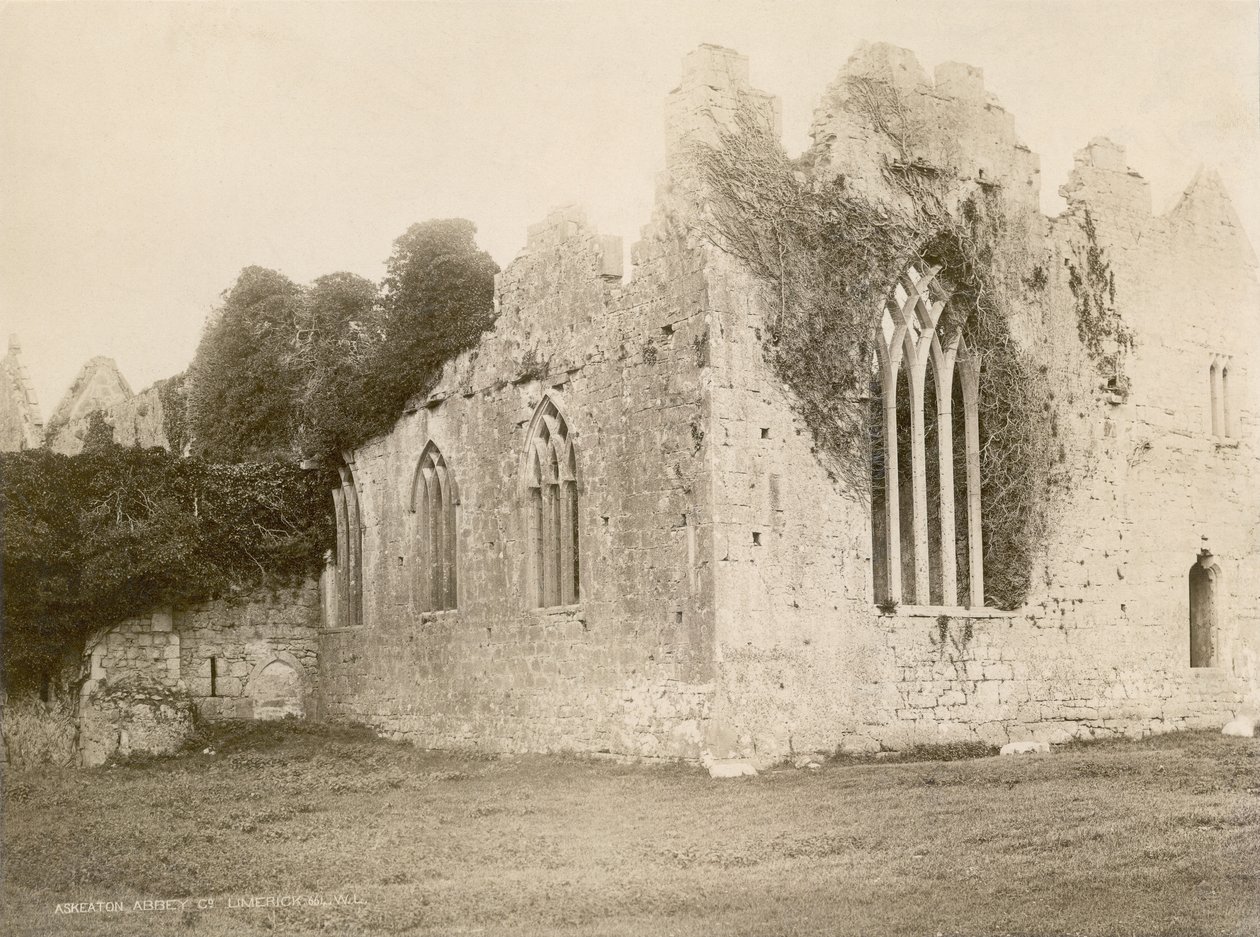 Askeaton Abbey door Robert French
