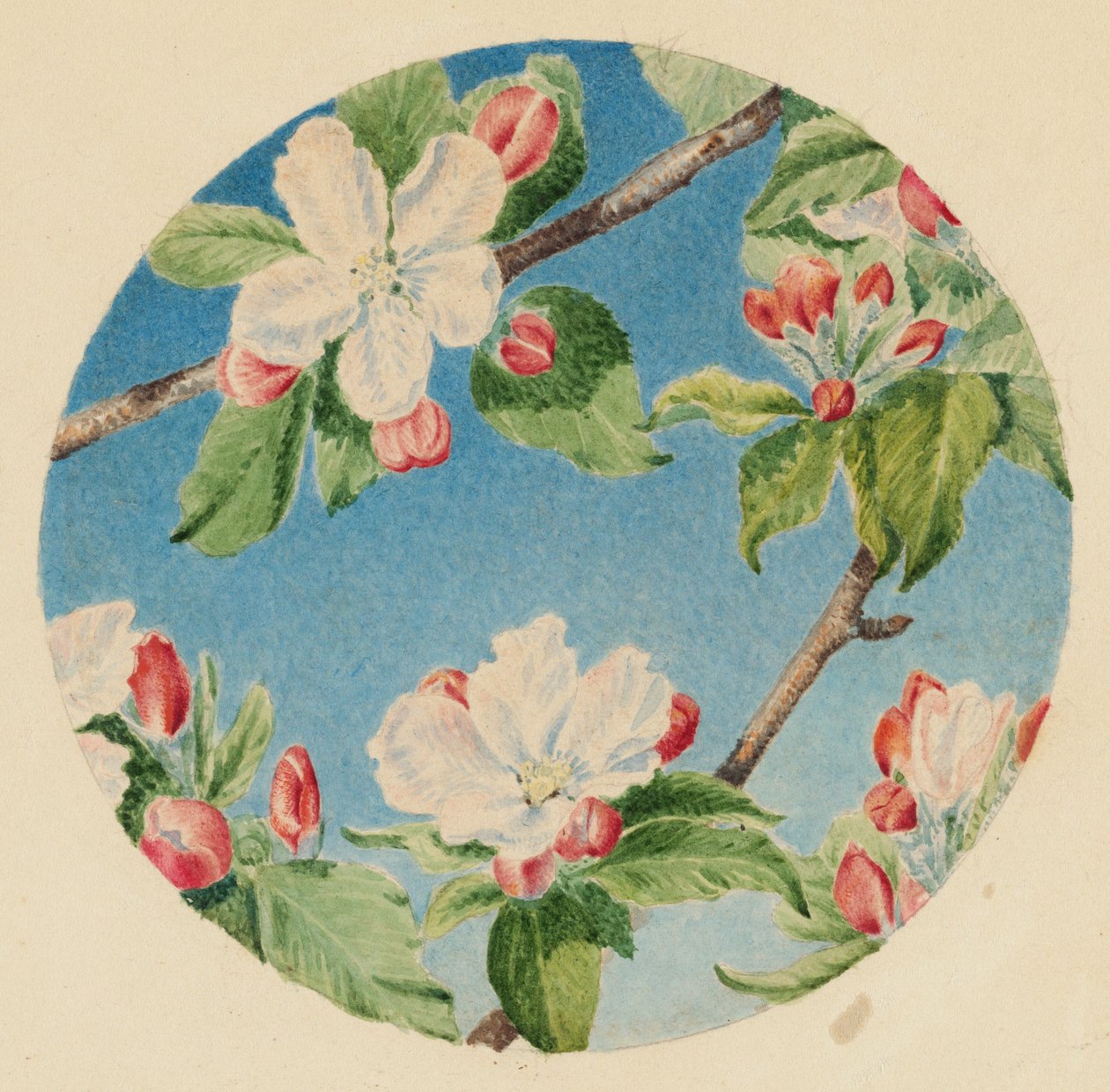 Appelbloesems, c.1869 (aquarel) door Robert B. Brandegee