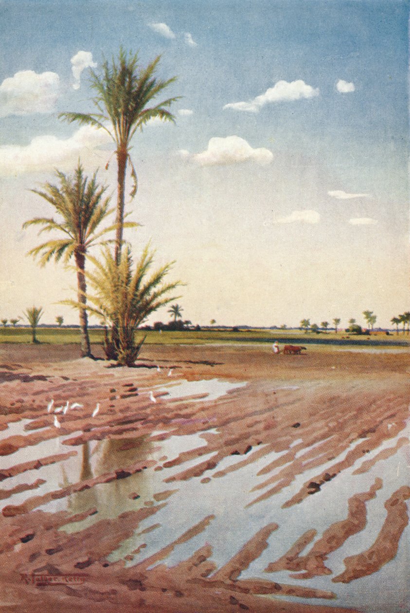 Een geïrrigeerd veld, circa 1880, 1904 door Robert George Talbot Kelly