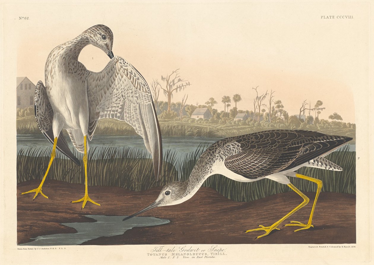 Vertellende Grutto, 1836 door Robert Havell