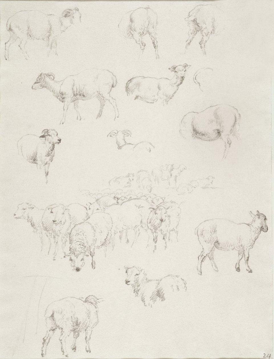 Kudde schapen, na 1794 door Robert Hills