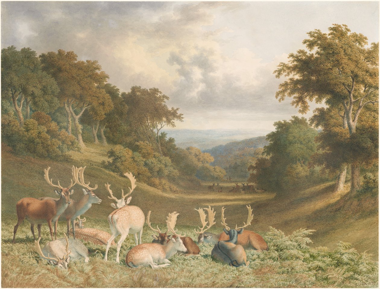 Herten in Knole Park, Kent door Robert Hills
