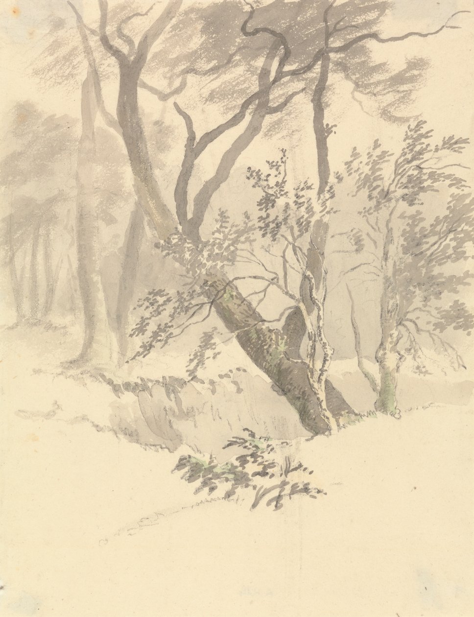 Het Bos door Robert Hills