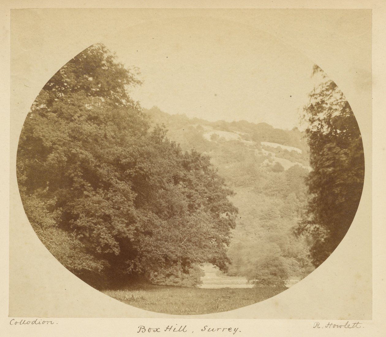 Box Hill, Surrey door Robert Howlett