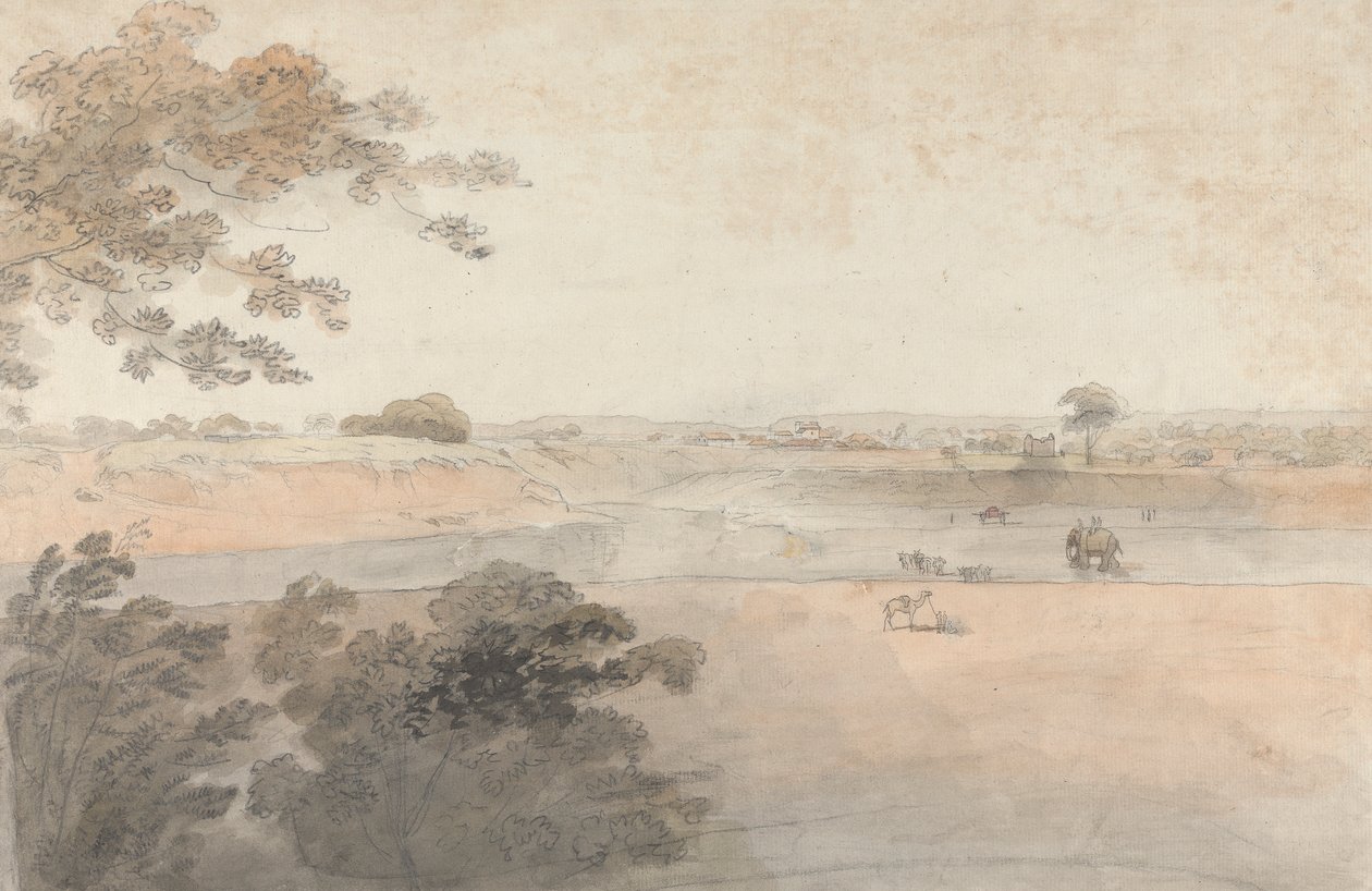 Landschap met kamelen en olifanten door Robert Mabon