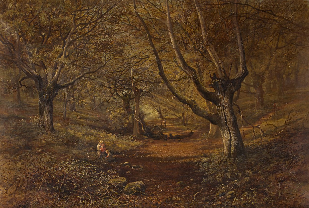 Nachtegaalvallei, Leigh Woods door Robert Mayes