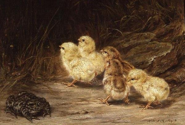 Kuikens en pad door Robert Morley