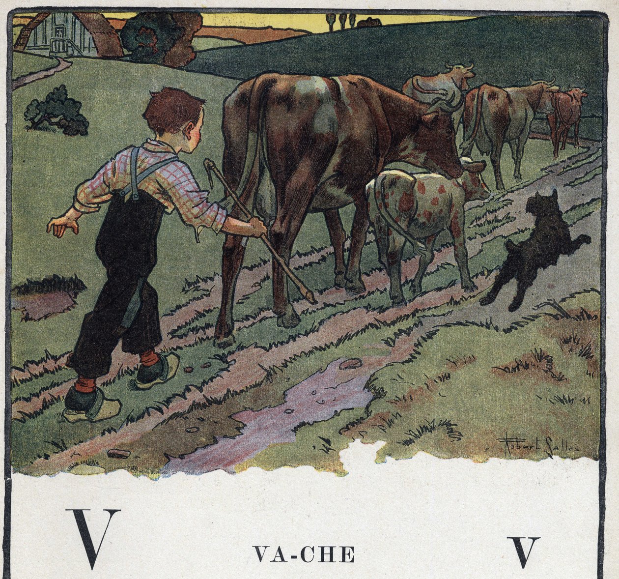 Kinderboek 