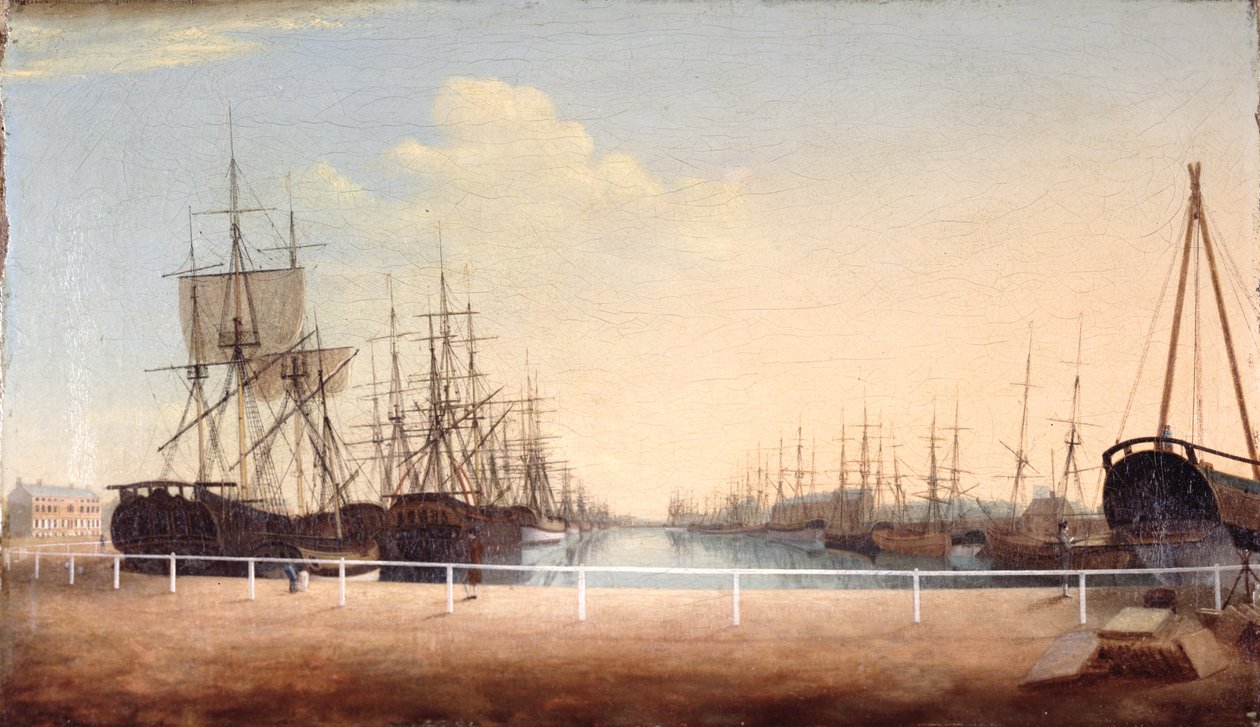 Een Westelijk Uitzicht op het Nieuwe Dok in Kingston upon Hull door Robert Thew