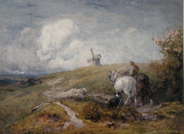 Schapen drijven op de South Downs door Robert Thorne-Waite