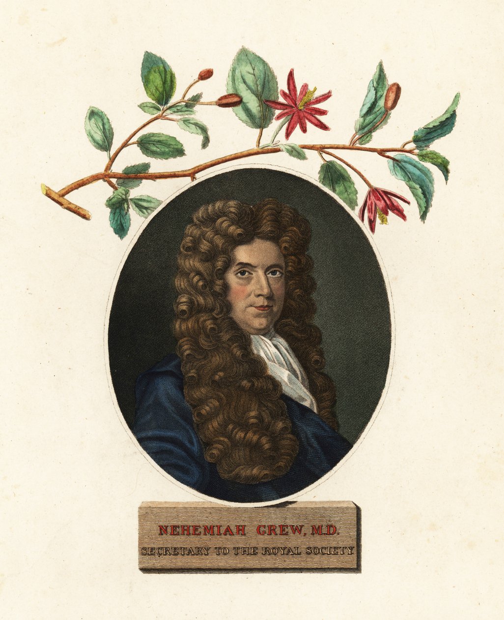 Portret van Nehemiah Grew, arts en botanicus door Robert White