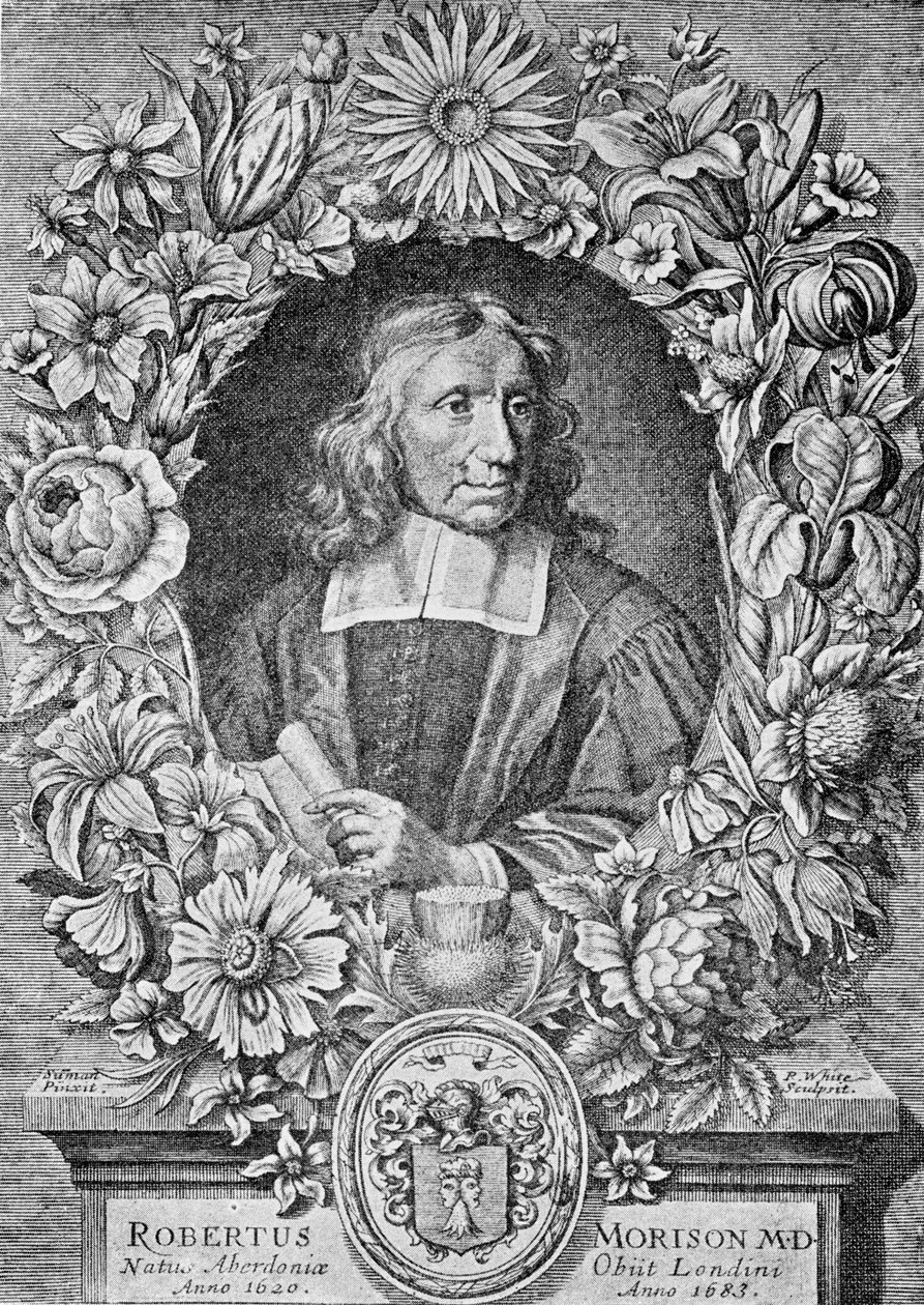 Robert Morison, 1680 door Robert White