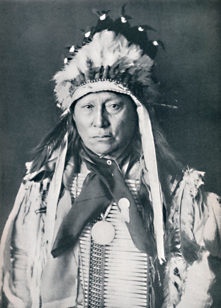 Een Sioux-hoofdman in zijn oorlogskleuren door Robert Wilson Shufeldt