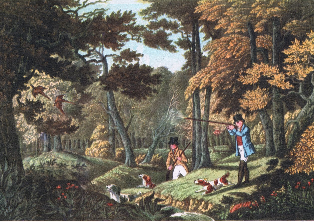 Fazantjacht bij Uxbridge, Natuur in Groot-Brittannië uitgegeven door Collins, 1946 door Robert the Elder Havell