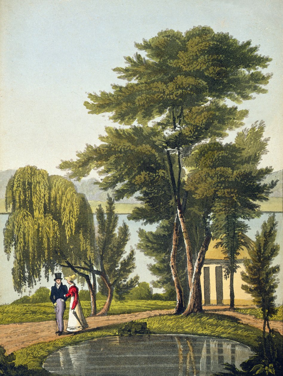 Clifton, uit 
