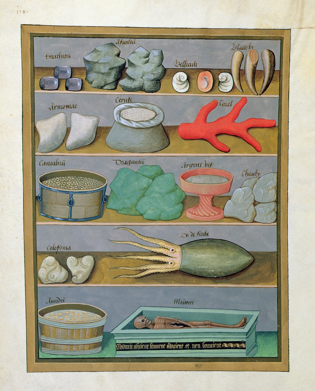 Illustratie uit het Boek der Eenvoudige Geneesmiddelen door Mattheaus Platearius 166v door Robinet Testard