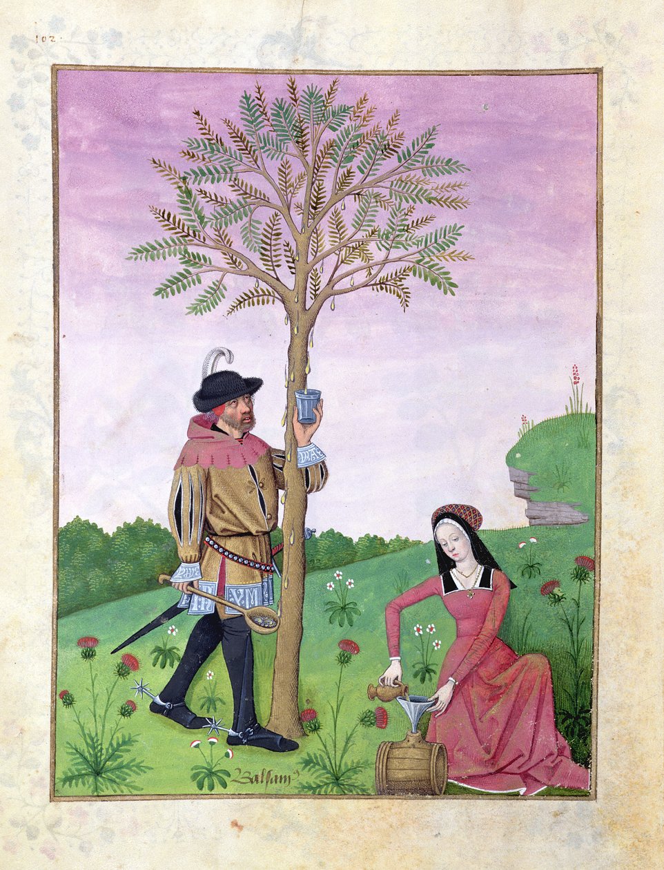 Lavendel, Helleborus en een verwant van de komkommerfamilie, Illustratie uit het Boek der Eenvoudige Geneesmiddelen door Mattheaus Platearius 131r door Robinet Testard