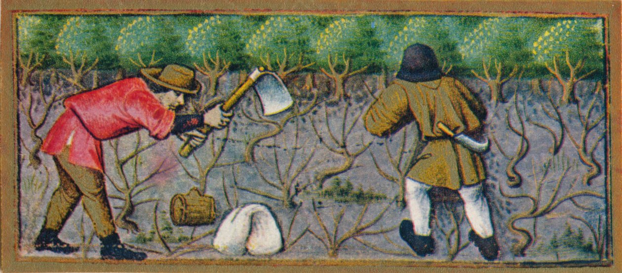 Maart - werken in de wijngaard, 15e eeuw, 1939 door Robinet Testard