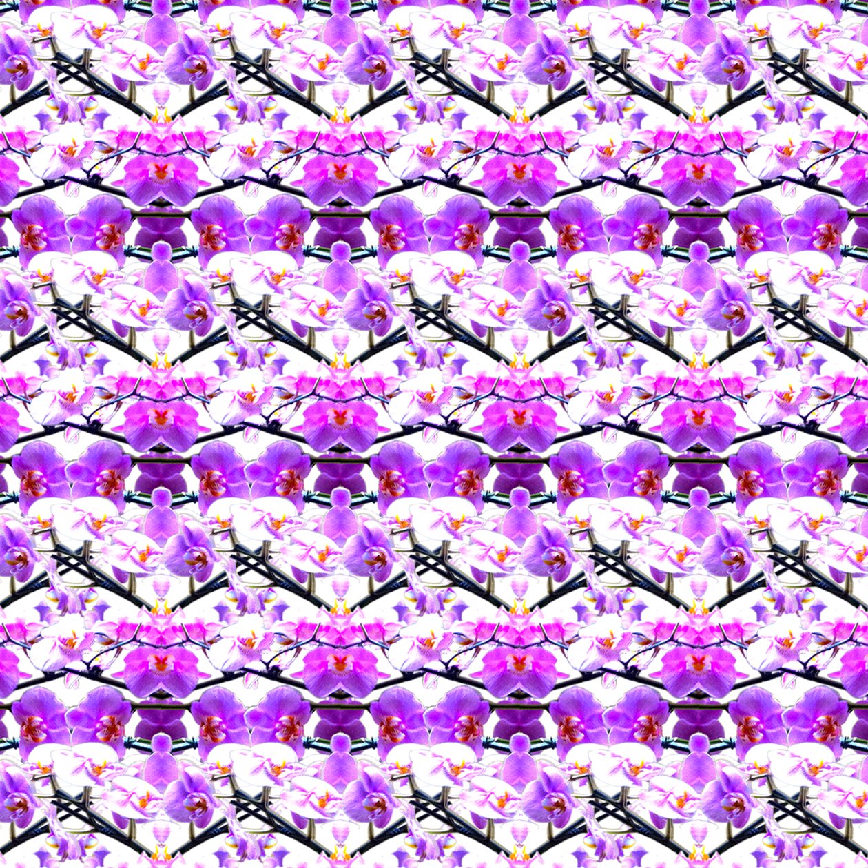 Paarse Orchidee Herhaling door Robyn Parker