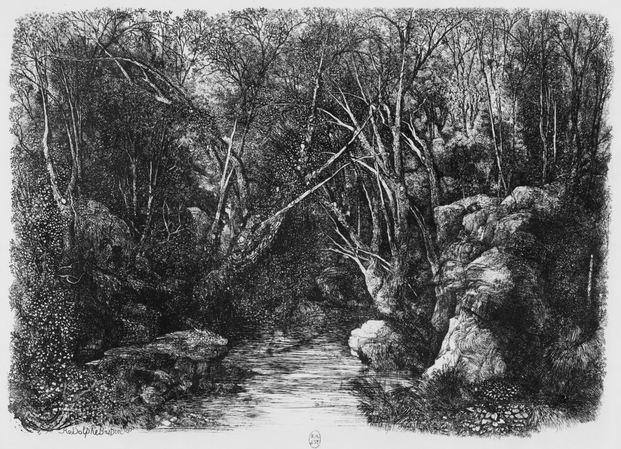 De Stroom door de bomen, 1880 door Rodolphe Bresdin