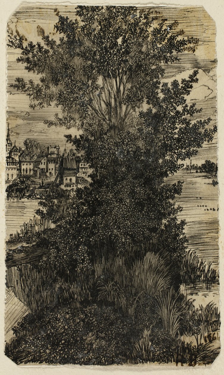 Bosje Bomen met een Dorp in de Verte door Rodolphe Bresdin