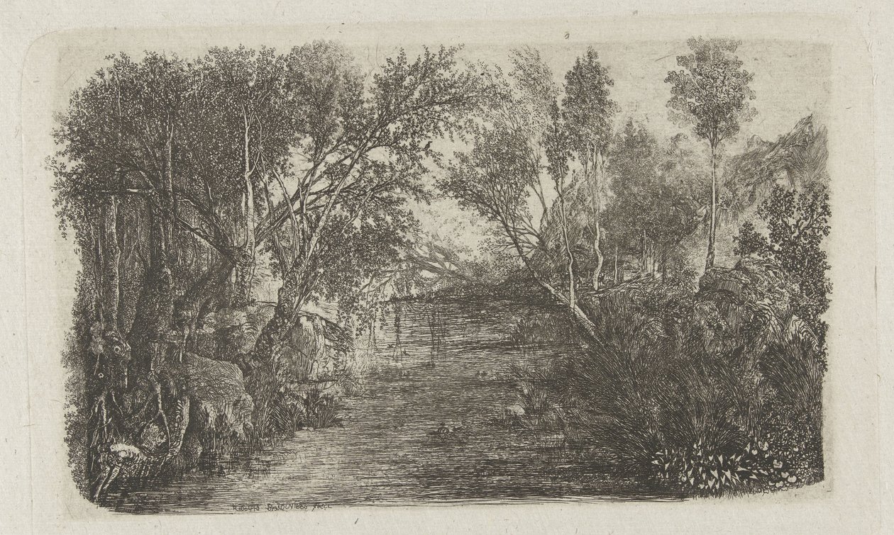 Landschap met beek en bomen op oevers door Rodolphe Bresdin
