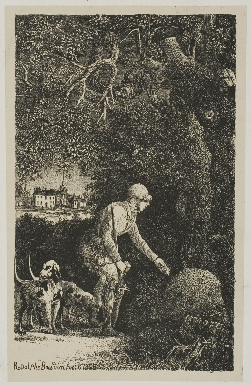De Diplomaat en de Mierenhoop, Illustratie voor Fabels en Verhalen door Hippolyte de Thierry-Faletans door Rodolphe Bresdin