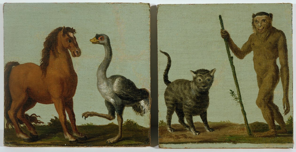 Een paard en struisvogel en een wilde kat en wilde man door Roelandt Jacobsz. Savery