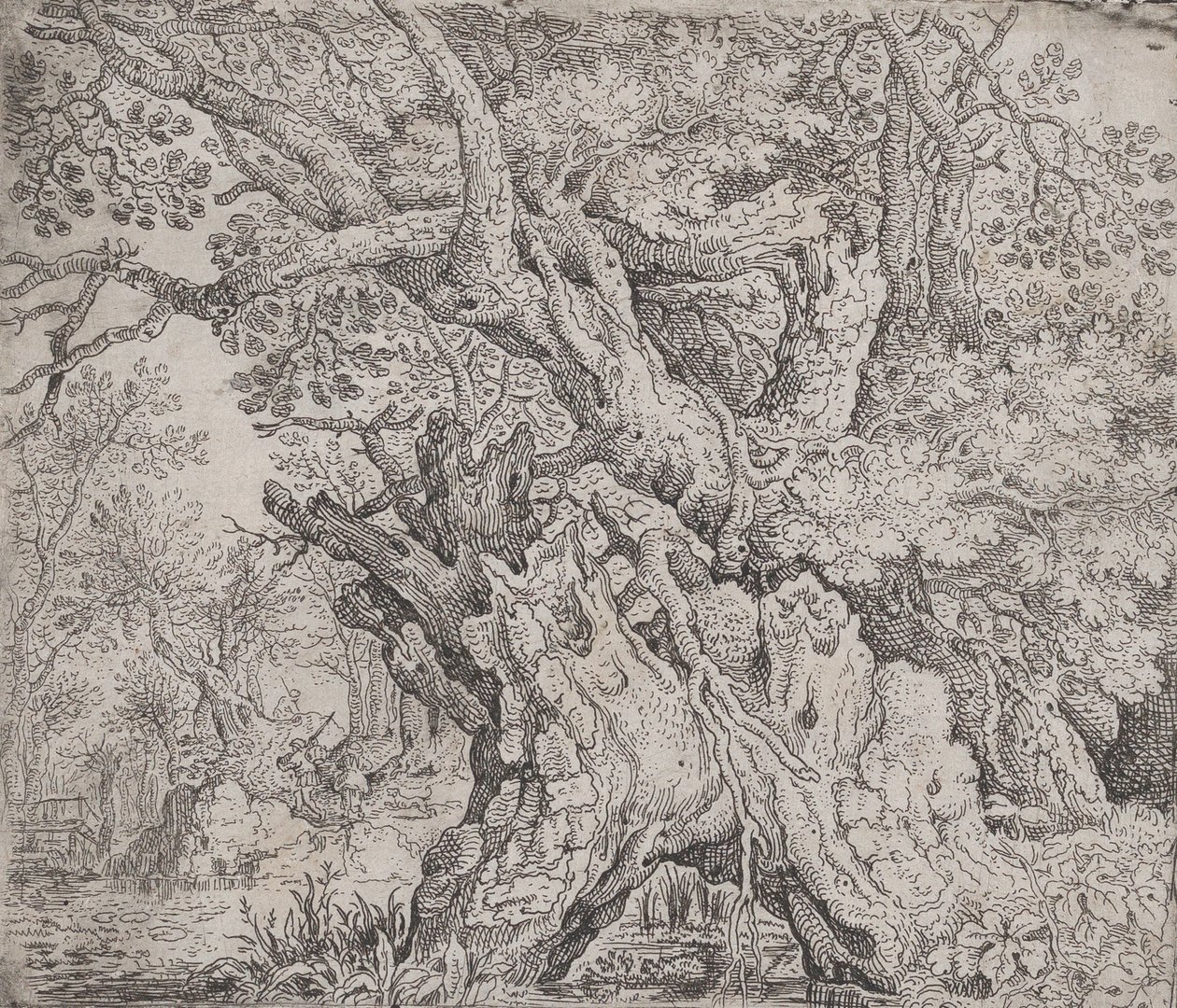 Knoestige Boom door Roelandt Savery