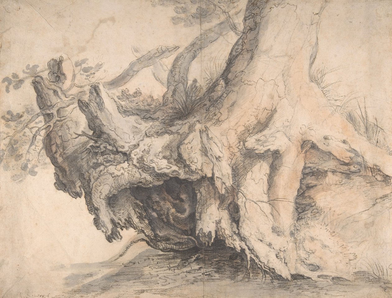 Studie van een Boom, ca. 1606-1607 door Roelandt Savery