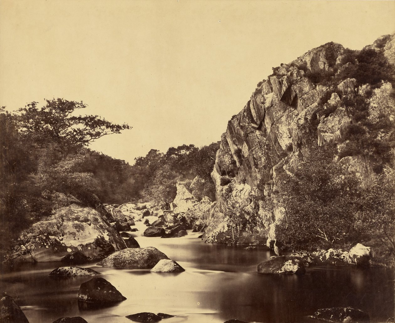 Reigervijver aan de Lledr door Roger Fenton