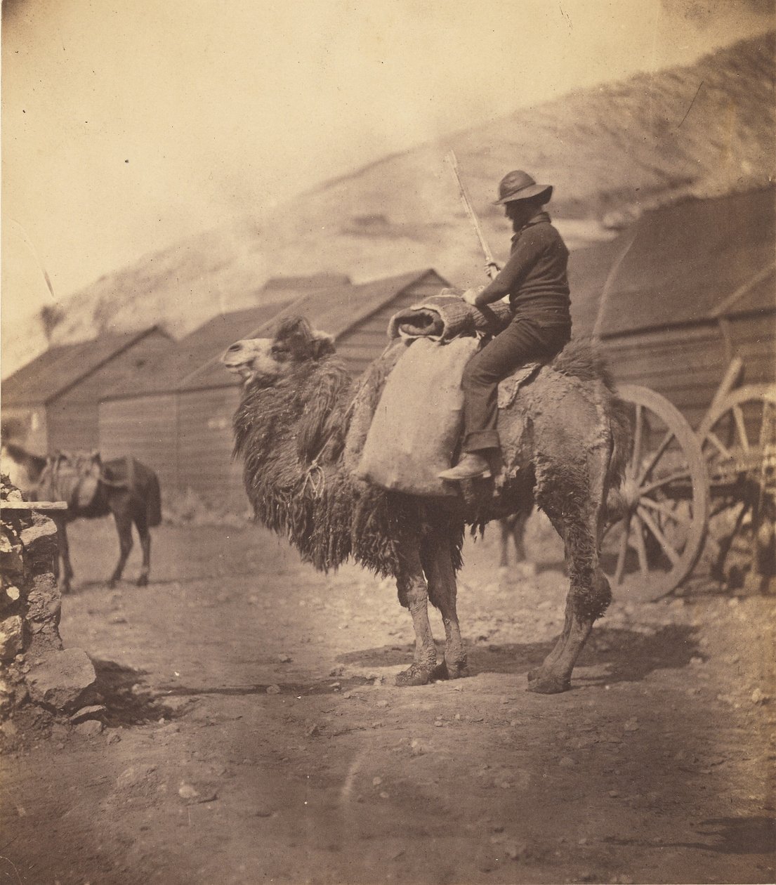 [Man rijdend op een kameel] door Roger Fenton