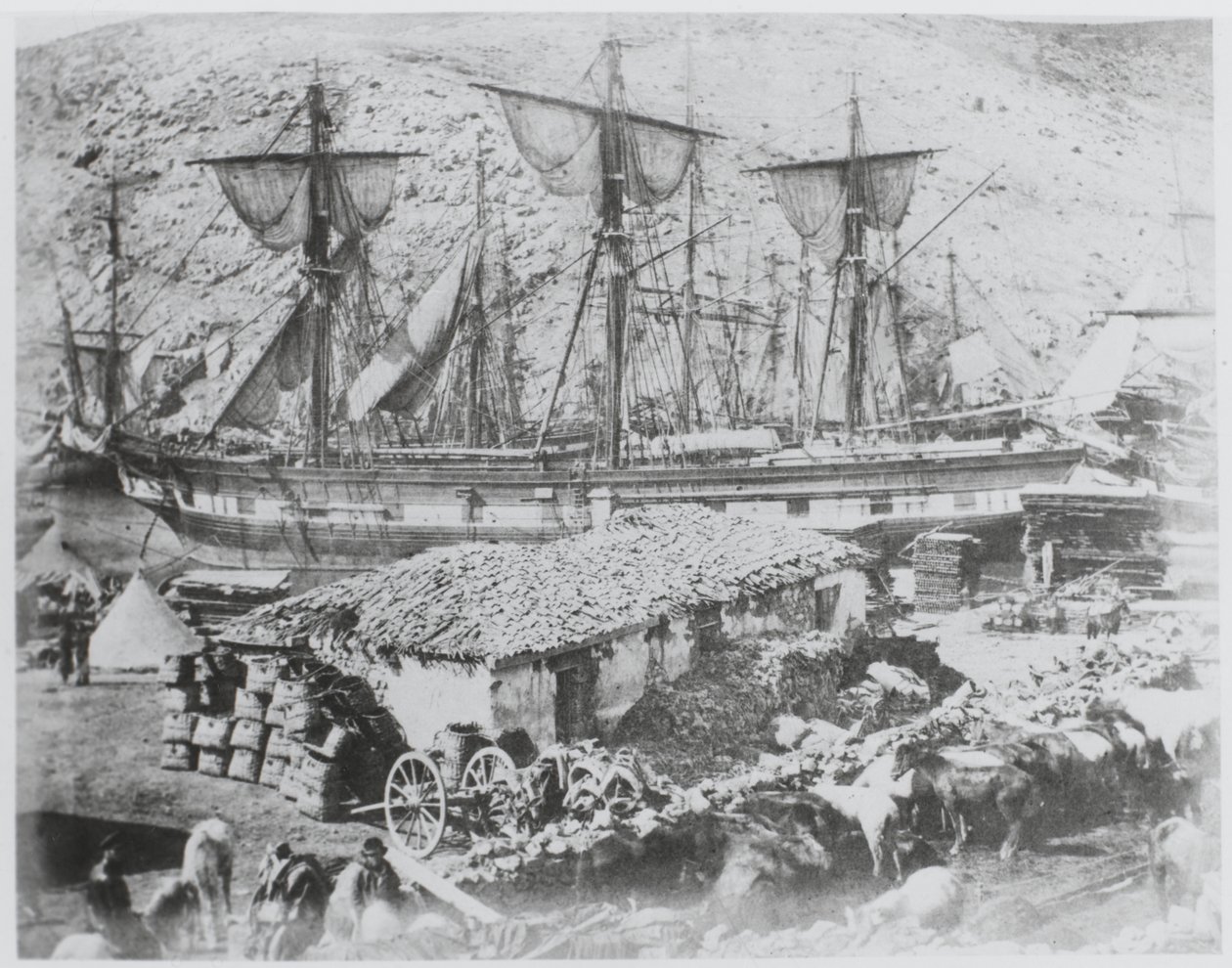 De veesteiger in de haven van Balaklava door Roger Fenton