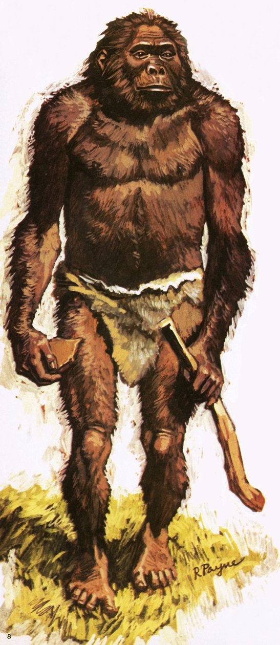 Prehistorische mens door Roger Payne