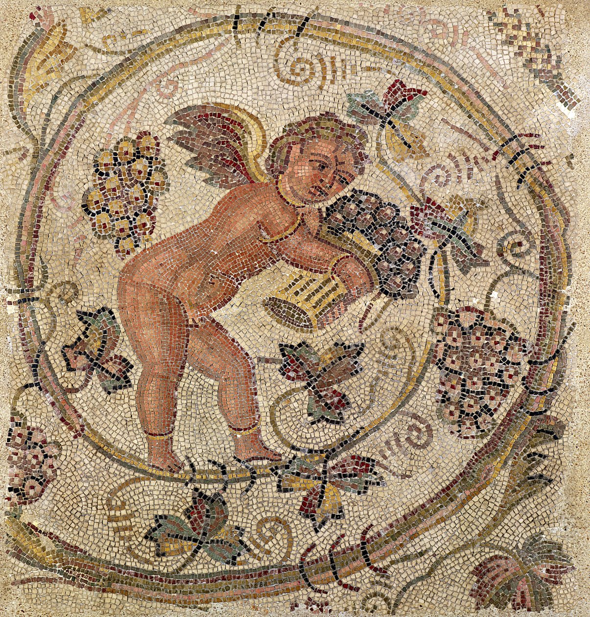 Een cupido die druiven plukt, fragment van een vloer uit Carthago, Tunesië (mozaïek) door Roman