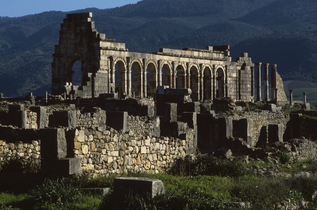Basiliek, AD 217 door Roman